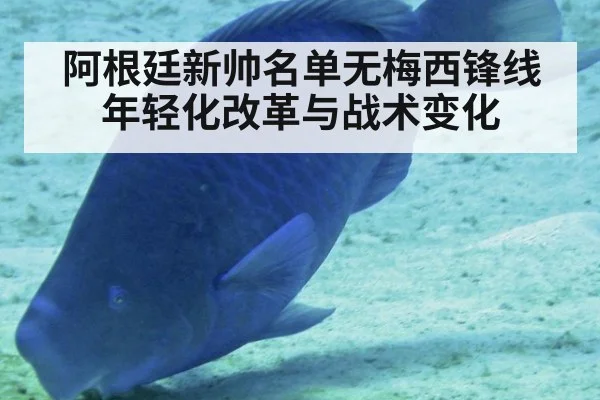 阿根廷新帅名单无梅西锋线年轻化改革与战术变化